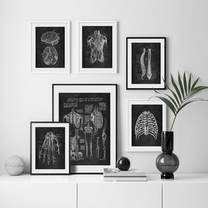 High Definition Human Anatomy Canvas Wall Art Prints Medical Education Decor