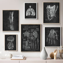 Load image into Gallery viewer, High Definition Human Anatomy Canvas Wall Art Prints Medical Education Decor
